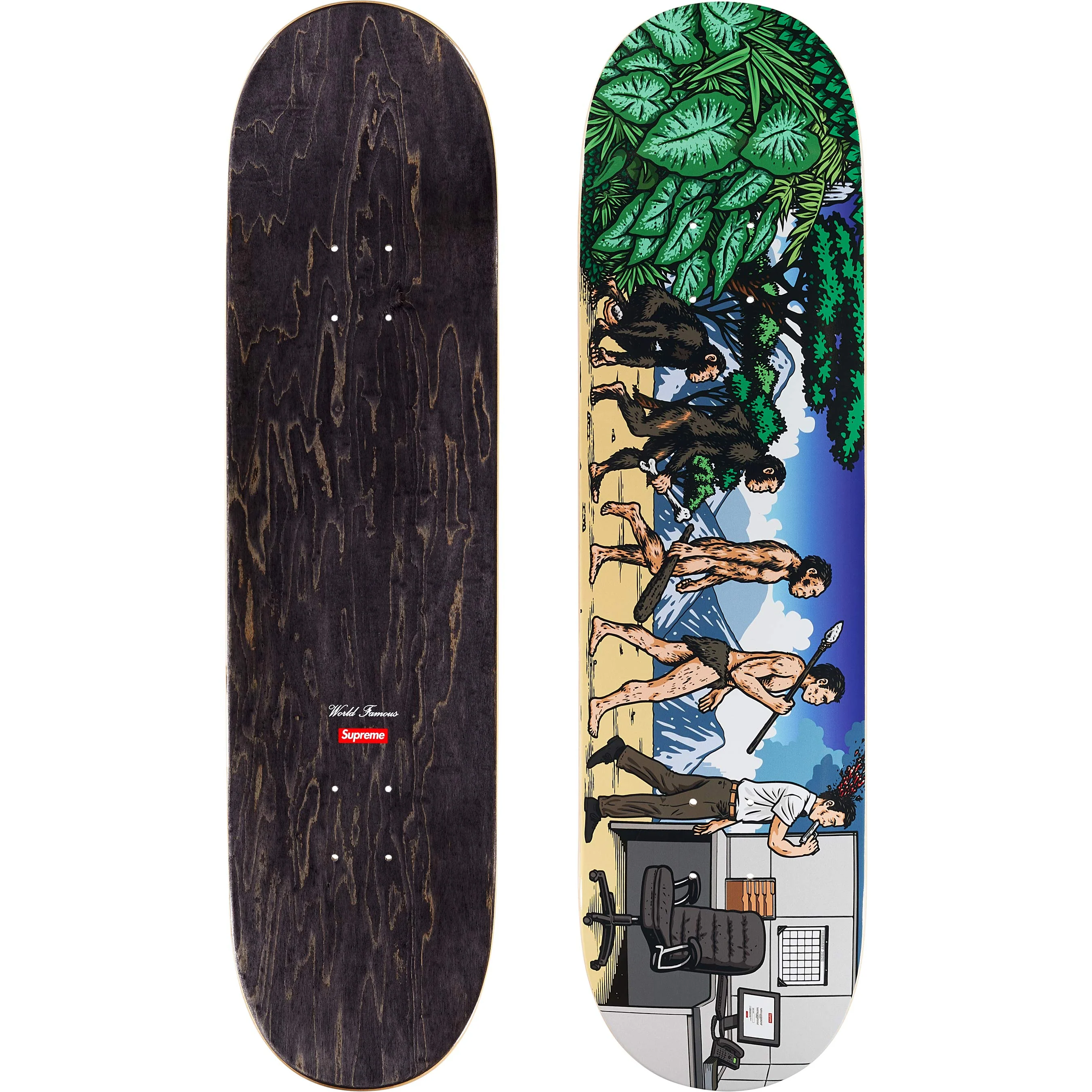 Evolution Skateboard view 2